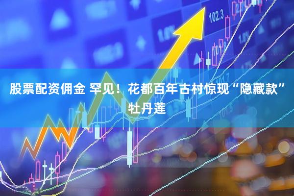 股票配资佣金 罕见！花都百年古村惊现“隐藏款”牡丹莲