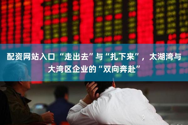 配资网站入口 “走出去”与“扎下来”，太湖湾与大湾区企业的“双向奔赴”